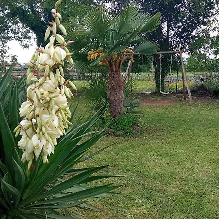Azienda Agrituristica La Vecchia Quercia Farm stay *