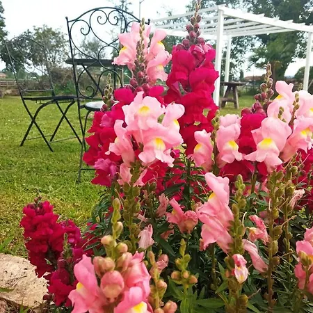 Azienda Agrituristica La Vecchia Quercia Séjour à la ferme